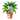 Lush Potted Plant Coloring Page colored reference placeholder