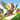 Majestic Pidgeot Pokemon Coloring Page colored reference placeholder