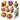 Beautiful Seashell Collection Coloring Page colored reference placeholder