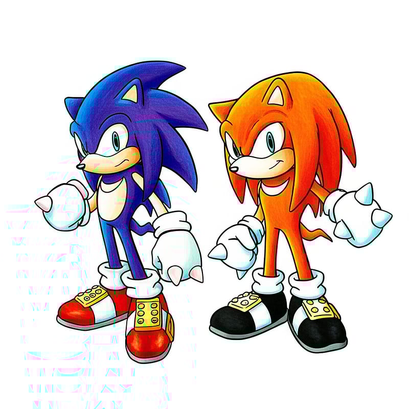 Sonic and Knuckles Team Up Coloring Page colored reference
